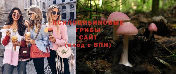 PSILOCYBIN Кинешма