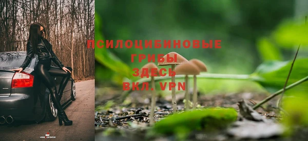 каннабис Белокуриха